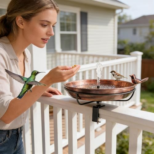 Abreuvoir oiseaux de balcon stable et antirouille pour garde-corps