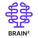 2nd Brain