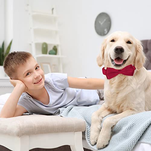 KTWSUEF Hundehalsband Samtiges, mit Abnehmbarer Hunde Fliege, Komfortable Verstellbares Samtige Halsband Hund, Geeignet für Hunde Kleine Mittel große Hunde, Für Hochzeiten, Geburtstage, Partys usw