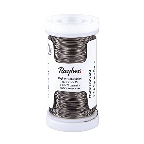 Rayher Alambre manualidades y floristería, recocido, hierro, plateado, 0,35 mm ø, 100 m, 2400100