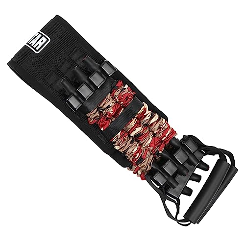 ؃g[jO  GNTTCYohR {fB[r