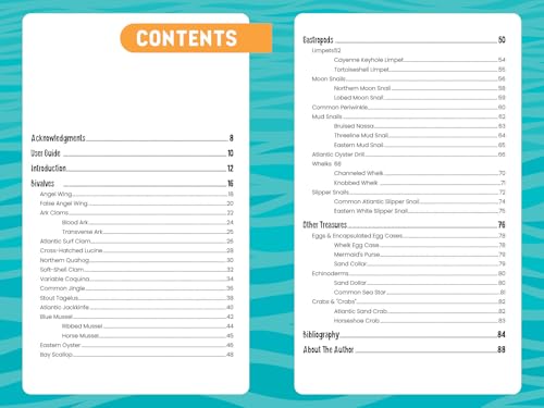 Seashells of the Jersey Shore: Identify and Learn about the Shells You Find on the Beach (Identify and Learn About Seashells, 1) - Image 2