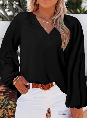 Eytino Women Plus Size Tops Summer V Neck Long Sleeve Button Down Pleated Business Work Blouse Shirts(1X-5X)2