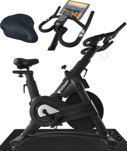 STEADY スピンバイク Pro【ハイエンドモデル/Zwift/アプリ連動/静音/組立簡単】エアロバイク フィットネスバイク 家庭用 ST142