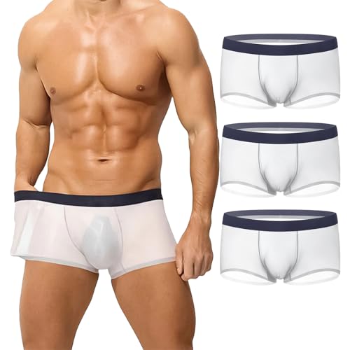 3 Pack Niksy Underwear, Men's Ultra-Thin Ice Silk Transparent Boxer Briefs for Date Night