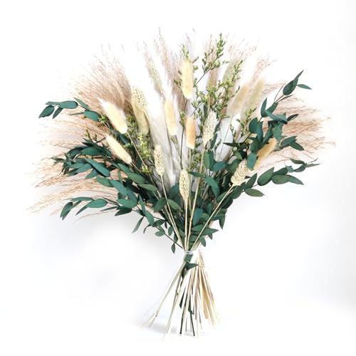 Arreglo de Flores Secas con Phragmites y Cola de Conejo miniatura 3