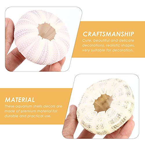 Happyyami 6Pcs Air Planten Houders Mini Zee- Egel Shell Pot Zee- Egel Schelpen Ambachtelijke En Decor - Image 8