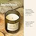 Paddywax Eco Collection Scented Soy Wax Candle in Glass Jar, Bordeaux Fig & Vetiver Fragrance, Green Vessel with Wood Lid, 8 oz