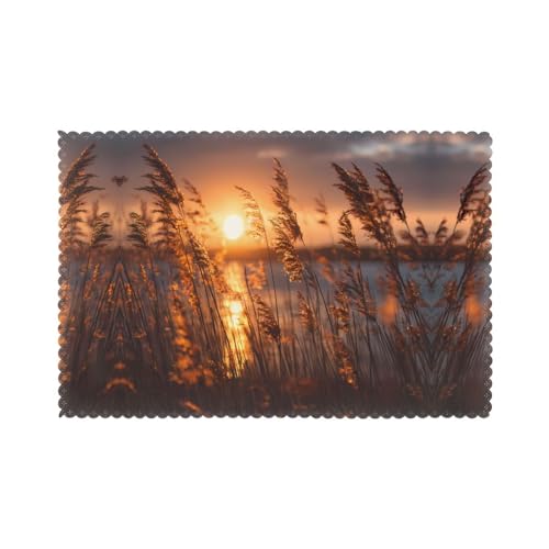 WHJWZY Reeds at Sunset Printed Placemats for Dining Table 6-Piece Set Table mat 12x18 in for Kitchen Dining Decoration Washable Easy to Clean