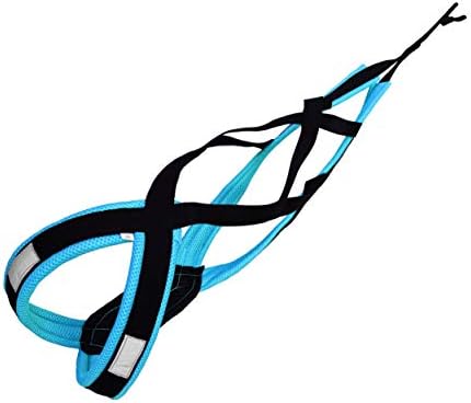 LASALINE Dog Weight Pulling Harness, XBack for Canicross, Dog Sport, Bike Joring, Ski Joring, Sled Harness, Dog mushing, Dog Running Harness, Black Lightblue