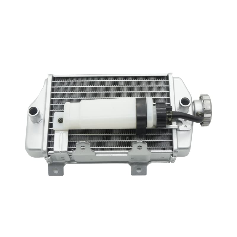 Motorcycle Tank Radiator Water Container Fit For BO-SUER M6 J1 Water-Cooled CB300cc Cross-Country (Color : Right)