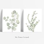 Howwii Botanical Boho Bathroom Decor Wall Art Prints, UNFRAMED Sage Green Plants Decor for Bedroom|Office, Minimalist Eucalyptus Leaves Watercolor Art Prints, Set of 4 Pictures, 8"x10" No Frames