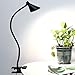 Study Lamp LED Desk Lamp With Clamp, Dimmable Desk Light With 3 Lighting Modes, Eye Protection Portable Reading Book Light, Button Switch Table Lamp (Color : Green, Size