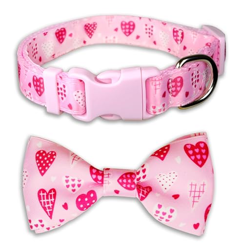 o^Cf[̌̒lN^C̋݁A߉\ȃsÑn[gp^[̃ybgJ[AO\ȒlN^CtA^ƒ^ɃX^CbVŉK