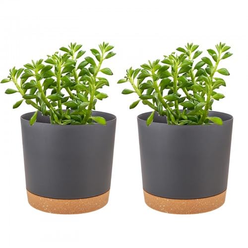 Duronge 2 Piezas Macetas para Flores, Macetas para Plantas de Interior, Macetero de Plástico con Agujeros de Drenaje y Platillo, 11 cm, para Interior y Oficina