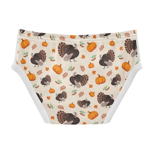Boys' Exclusive Briefs Toddler Underwear 95% Combed Cotton Boxerbriefs 2T Thanksgiving Turkey Pumpkin 832