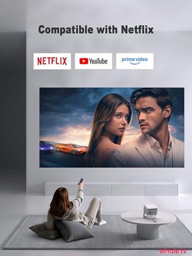 Luxury Portable Projector Outdoor Cinema