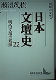 日本文壇史 22 明治文壇の残照 回想の文学 (講談社文芸文庫)