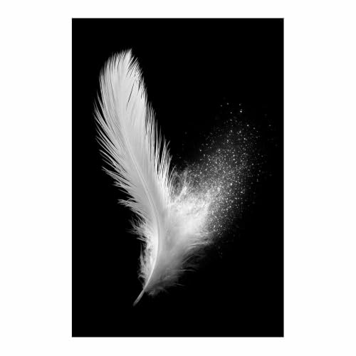 Affiche Noir et Blanc Décor Minimaliste Featherss Poster Mural Salon Chambre Bureau 70x100cm