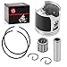 Top End Rebuild Kit Piston Bearing & Piston Ring Gasket For Kawasaki KX100 1995-2013 STD Bore 52.5mm