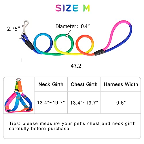 PetsHome Dog Harness & Leash Set Adjustable No Pull Safe Nylon Pet Harness with Leash for Outdoor Walking for Dogs Medium Rainbow