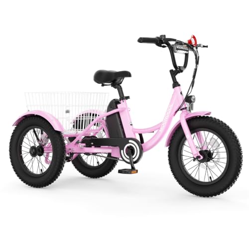 MOONCOOL Youth Electric Tricycle, 16 Inch 250W E-Trike, for Ages 6-12