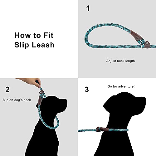 Twoear Slip Lead Dog Leash - 1/2" X 6Ft Reflective Durable Dog Training Leash - Heavy Duty Strong Dog Rope Leash Slip Leash For Medium And Large Dogs Blue #TOP3