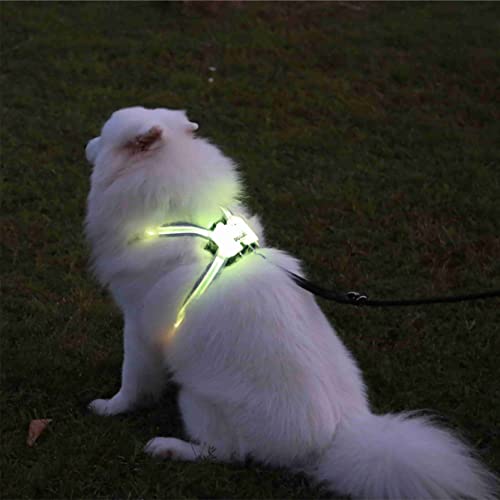 DOGLED LED Dog Harness, 7 Light Modes with EU & US Patents, Large Glowing Panel for Night Safety, Breathable Mesh & Sponge Padding, Reflective Strips for Small/Medium Dogs (XL)