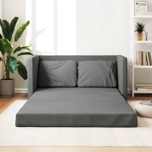 Festnight Canapé-lit canapé Convertible 2 Places Clic clac 2 Places Convertible bz Convertible 2 Places Canapé Chambre ado Canapé Deux Places Tissu-Gris...