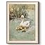 Animals-【Duck Family】 Animals-【Duck Family】