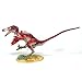 Beasts of The Mesozoic: Velociraptor Osmolskae Version 2 Red - 1/6 Scale Dinosaur Action Figure -12