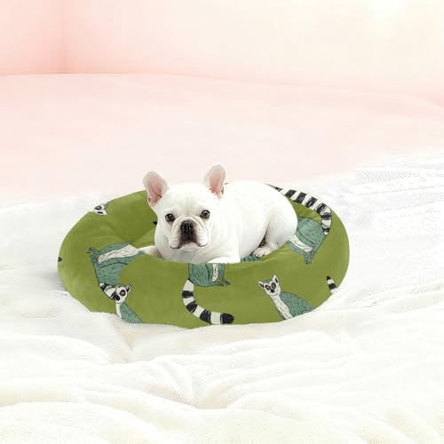 Lit pour petit animal vert taille S chaud et confortable lémurien