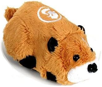 rainbow bridge pet urn