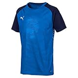 bvb trikot 152 PUMA dryCELL Technologie: Transportiert den Schweiß nach außen - für ein angenehmes und trockenes Hautgefühl