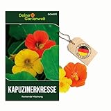Kapuzinerkresse Rankende Mischung Samen - Tropaeolum majus - Kapuzinerkressesamen - Blumensamen - Saatgut für 15 Pflanzen