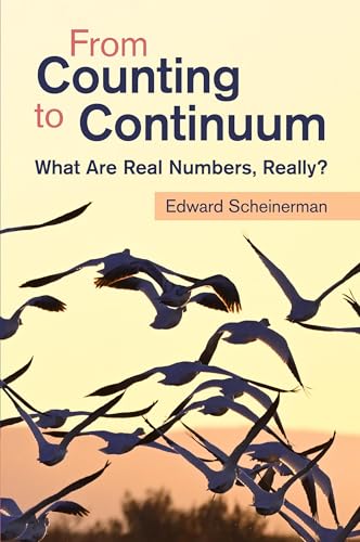 From Counting To Continuum: What Are Real Numbers, Really?