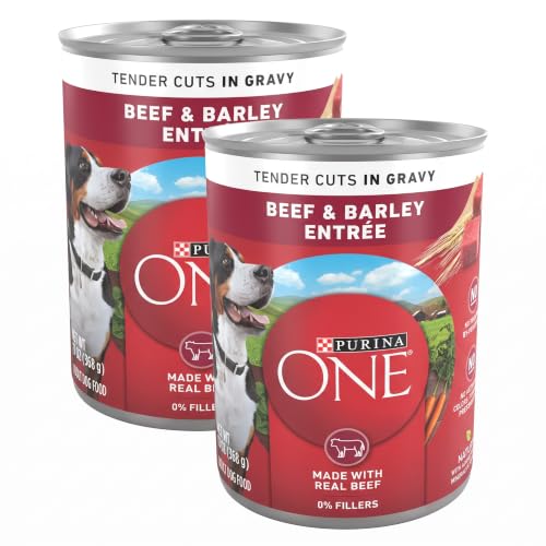 Purina ONE Natural Wet Dog Food Gravy, Tender Cuts in Gravy Beef and Barley Entrée - 13 Ounce (Pack of 24) - image 1