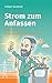 Produktbild Strom zum Anfassen: Was unsere Welt in Wirklichkeit zusammehält