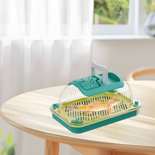 Ioensy REPTILE TERRARIUM REPTILETATATA DO RECEITO de HITBILATE de VENTATILAÇÃO CLARA VENTAÇÃO CARRA