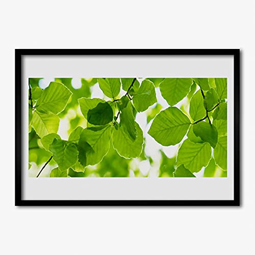 Image photo feuilles de la nature affiche encadrée murale 70x50