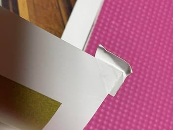 Amazon.co.jp: 本勅使河原蒼風『私の花』直筆の書『瞬』入り草月流