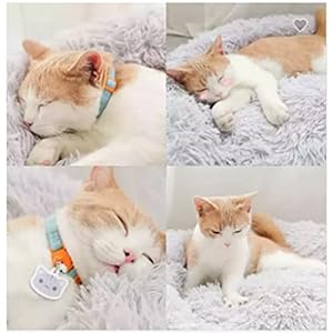 Cat Beds for Indoor Cats, 20 Inch Dog Bed for Small Melium Large Dogs, Washable-Round Pet Bed for Puppy and Kitten with Slip-Resistant Bottom Cat Beds for Indoor Cats 20 Inch Dog Bed for Small Melium Large Dogs Washable Round Pet Bed for Puppy and Kitten with Slip Resistant Bottom