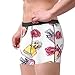 EOQIFJM Vintage Perfume Flowers Beauty And Fashion Men'S Breathable Boxer Shorts With Elastic Waistbandlarge Black