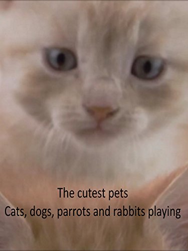 The Cutest Pets - Cats, Dogs, Parrots and Rabbits Playing