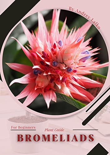 Bromeliads: Plant Guide