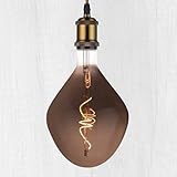 WHFIALUX Oversized Decorative LED Light Bulbs,Giant Vintage Edison Light Bulb,Huge Waterdrop Shape Bulbs,Pendant Lighting,Smoke Glass 2200K Warm White,6W Dimmable 120LM(15W eq.),E26 Base (TD160Smoke)