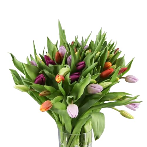 Ramo de Bulbos de Tulipán DECOALIVE Bouquet de 50 Flores Coloridas Frescas y Naturales