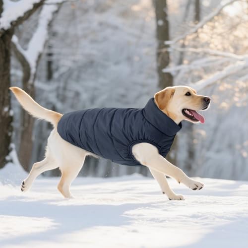 ASENKU Hundemantel für Kleine Hunde,Winddichte Hundejacke Winter wasserdichte Hundemantel mit Geschirr Fleece Warme Wintermantel Hund Kleidung für Chihuahua Dackel Französische Bulldogge S