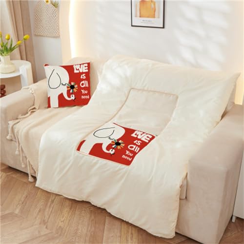 Hixingo Manta y Cojin 2 en 1, Manta de Cojín de Viaje Suave y Cálido Multifuncional Manta de Peluche y Almohada en Uno para Avión Coche, Oficina, Sofá Cama (40 * 40cm,Elefante Blanco)