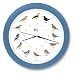Produktbild KOOKOO Singvögel Quarzwerk Himmel-blau, Die Singende Vogeluhr, runde Wanduhr mit natürlichen Vogelstimmen